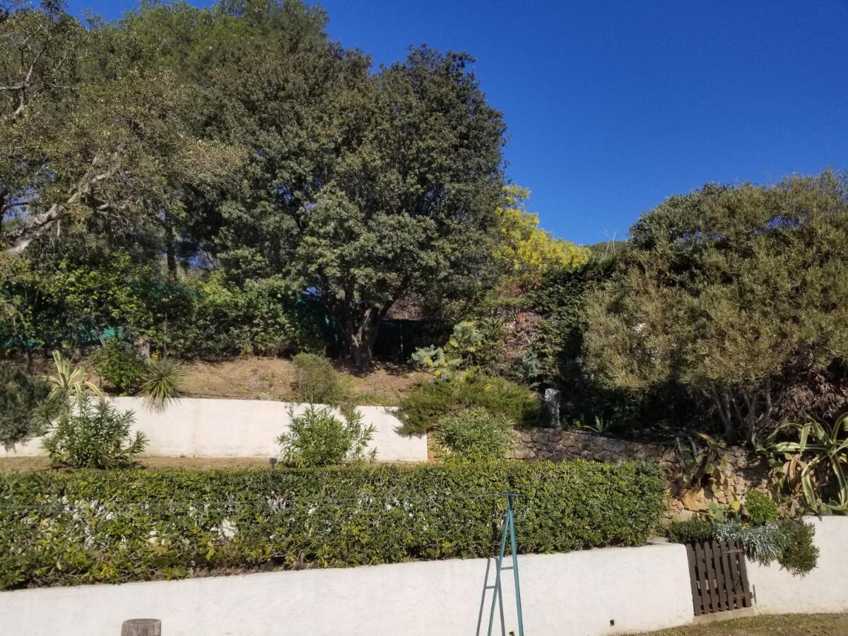 Villa La Louviere La Croix Valmer Golfe De Saint Tropez Esterno foto